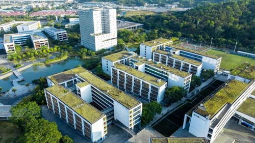 2026高考必看 深圳信息職業(yè)技術(shù)大學(xué)好不好？實(shí)力突圍的技術(shù)開(kāi)發(fā)新星
